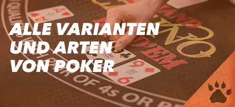 Poker Varianten: Dein Guide für alle Poker Arten