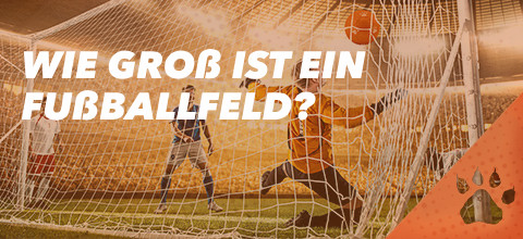 Wie groß ist ein Fußballfeld? LeoVegas Blog