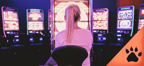 Bessere Chancen bei Slots: Wie gewinnt man an Spielautomaten?